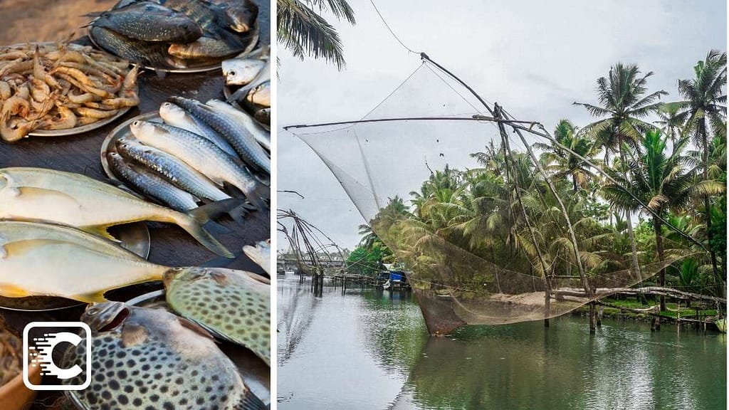 Fishing in kerala