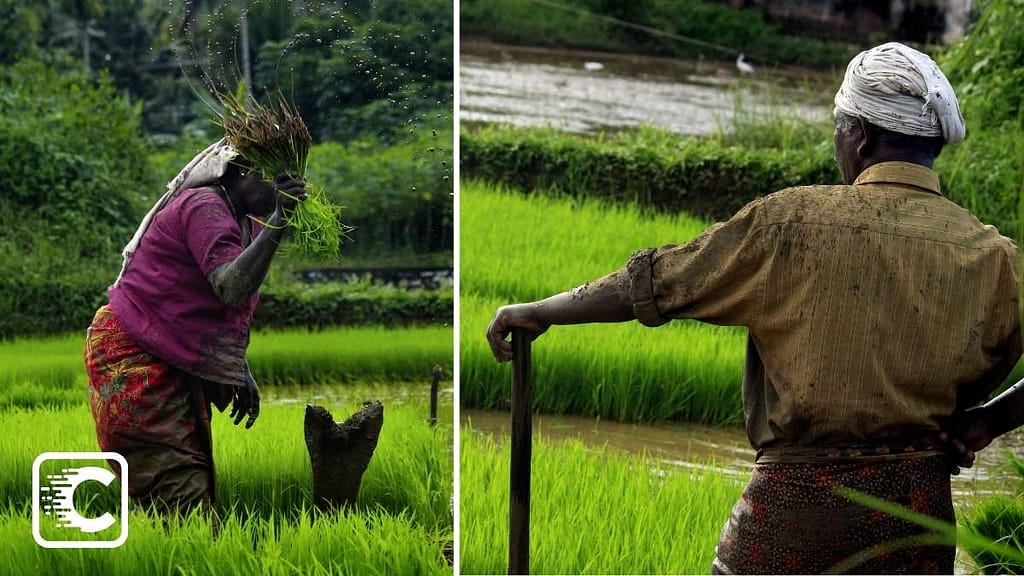 Life expectancy of Kerala