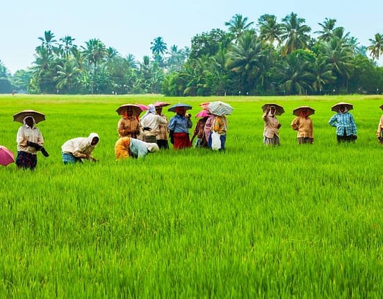 Lesser Known Facts about Kerala People