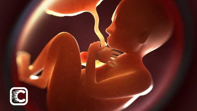 Influence of Womb Behavior 