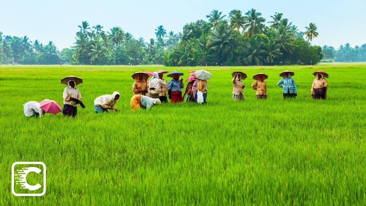 Lesser known facts about Kerala People