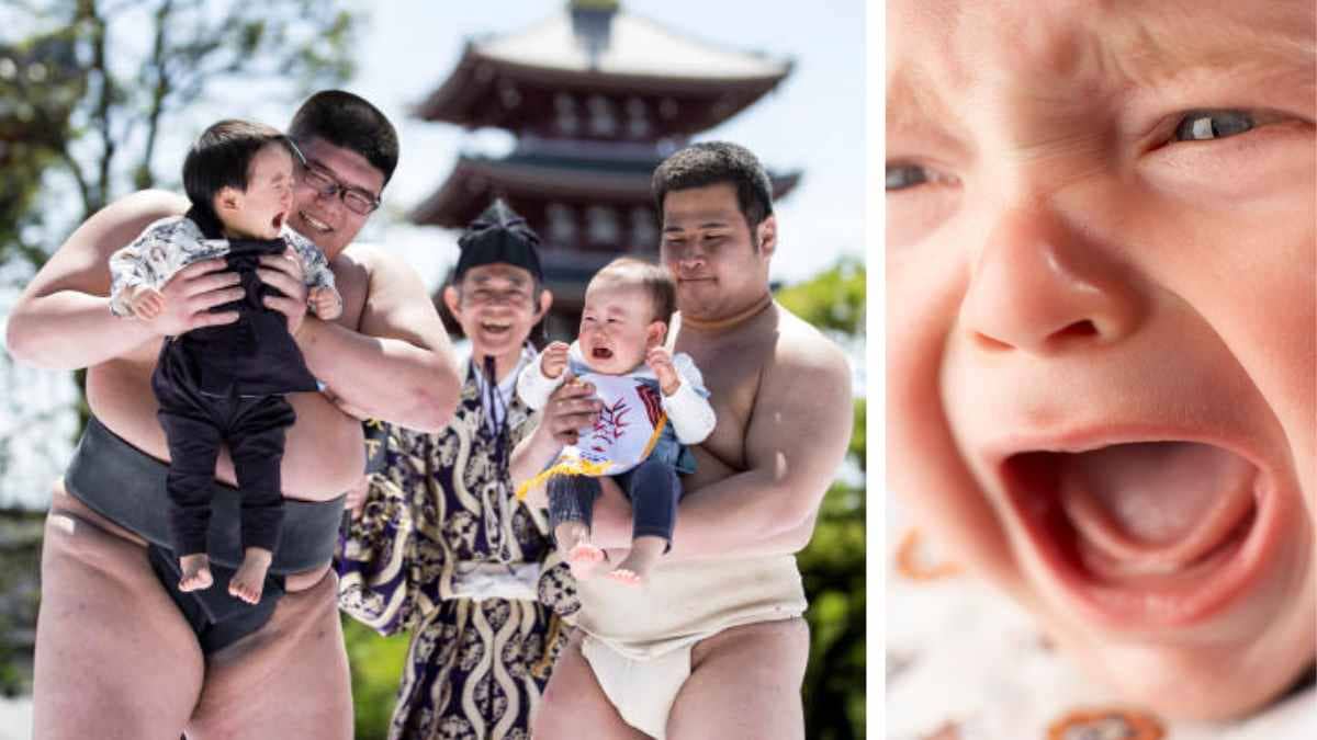 Naki Sumo Matsuri Japan (Crying Baby Festival)