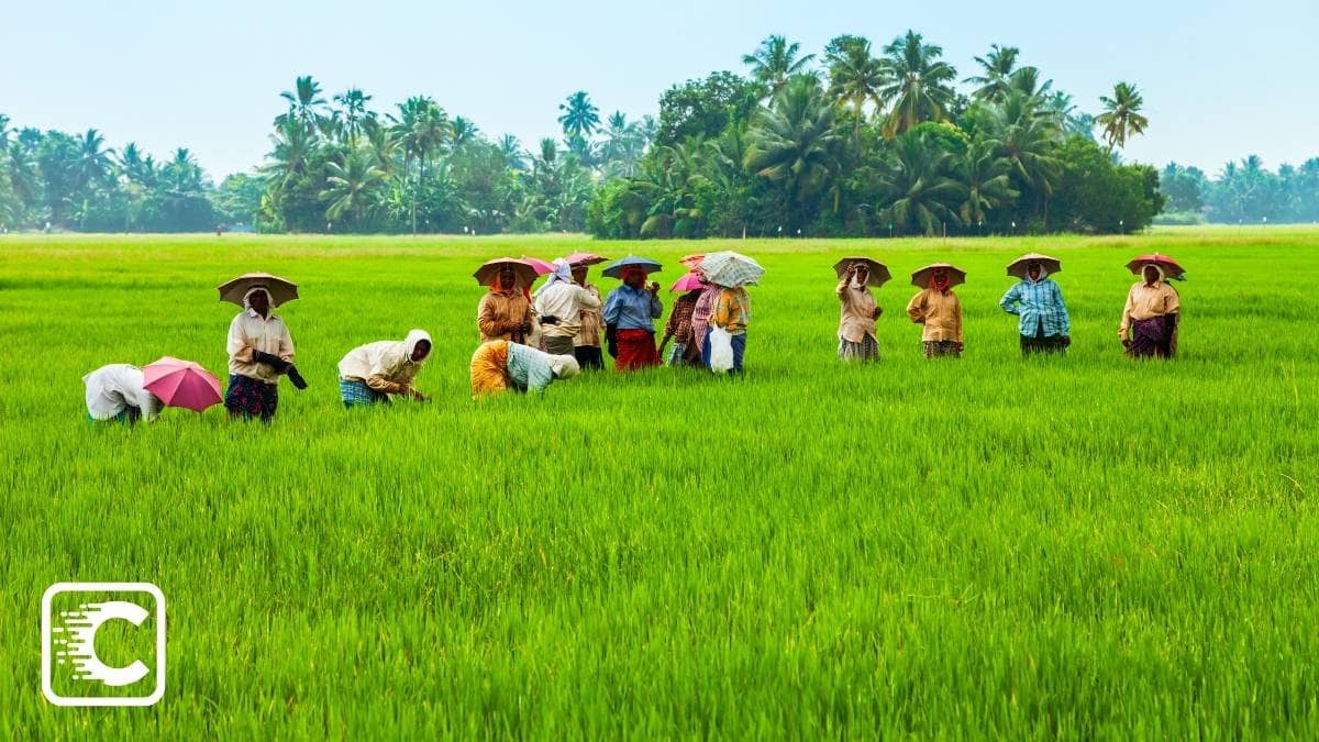 Lesser Known Facts about Kerala People